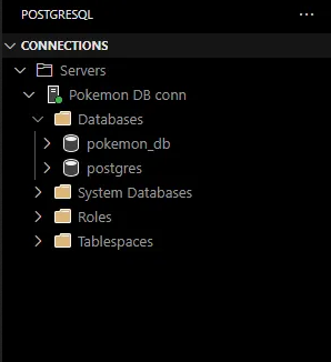 Connected servers displayed in the VS Code PostgreSQL extension